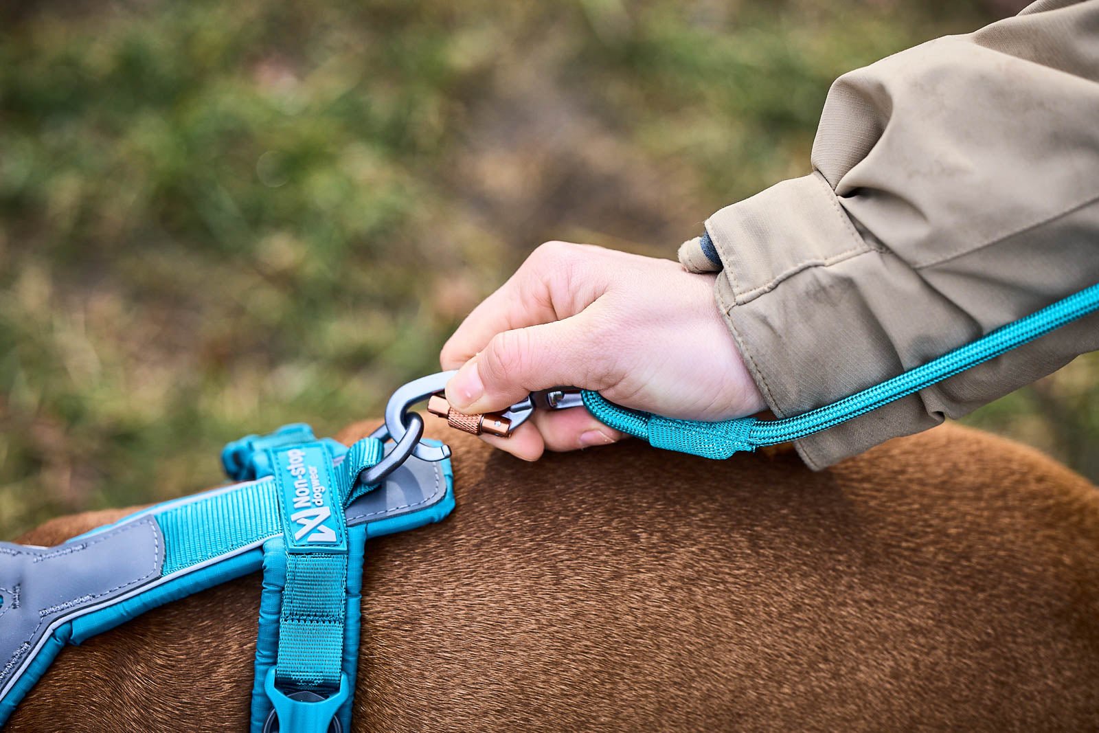 Trekking Rope Leash (Non - Stop Dogwear) - SnowPaw Store - Non - Stop Dogwear - Dog Lead
